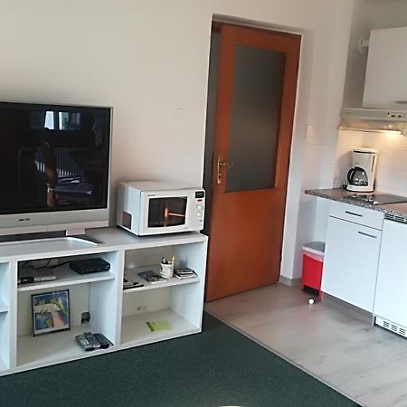 Apartments Pod Rodico بوهينيسكا بيستريكا المظهر الخارجي الصورة